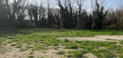 Terrain seul à Bollène en Vaucluse (84) de 669 m² à vendre au prix de 86000€ - 4
