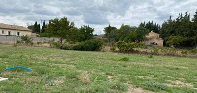 Programme terrain + maison à Sainte-Cécile-les-Vignes en Vaucluse (84) de 93 m² à vendre au prix de 224500€ - 3