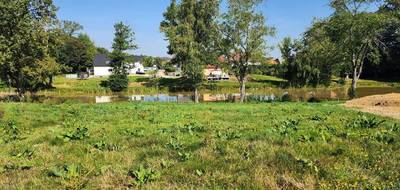 Programme terrain + maison à Seppois-le-Bas en Haut-Rhin (68) de 225 m² à vendre au prix de 799400€ - 4