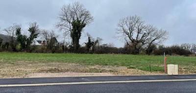 Terrain seul à Menneville en Pas-de-Calais (62) de 549 m² à vendre au prix de 63374€ - 2