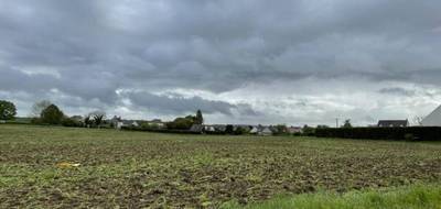 Programme terrain + maison à Chars en Val-d'Oise (95) de 90 m² à vendre au prix de 288400€ - 3
