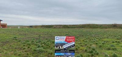 Programme terrain + maison à Haute-Avesnes en Pas-de-Calais (62) de 95 m² à vendre au prix de 260911€ - 4