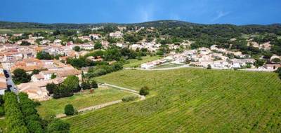 Programme terrain + maison à Bizanet en Aude (11) de 100 m² à vendre au prix de 328000€ - 4