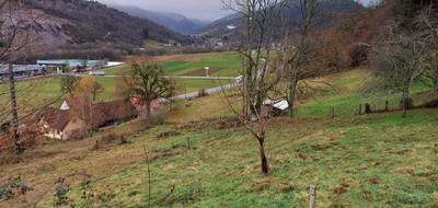 Terrain seul à Muhlbach-sur-Munster en Haut-Rhin (68) de 2500 m² à vendre au prix de 90000€ - 1