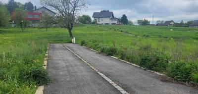 Programme terrain + maison à Steinbrunn-le-Bas en Haut-Rhin (68) de 203 m² à vendre au prix de 798000€ - 3