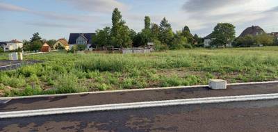Programme terrain + maison à Wolfgantzen en Haut-Rhin (68) de 110 m² à vendre au prix de 315800€ - 4