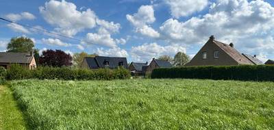 Programme terrain + maison à Bavinchove en Nord (59) de 145 m² à vendre au prix de 299000€ - 4