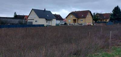 Programme terrain + maison à Sélestat en Bas-Rhin (67) de 110 m² à vendre au prix de 345700€ - 3
