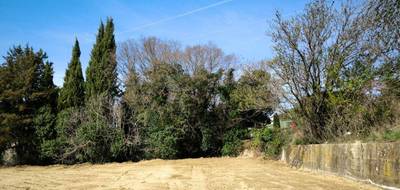 Programme terrain + maison à Cadenet en Vaucluse (84) de 110 m² à vendre au prix de 520000€ - 4