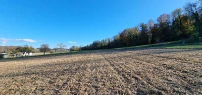 Terrain seul à Hirsingue en Haut-Rhin (68) de 1247 m² à vendre au prix de 210000€ - 4