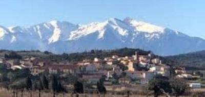 Programme terrain + maison à Montner en Pyrénées-Orientales (66) de 95 m² à vendre au prix de 281000€ - 3