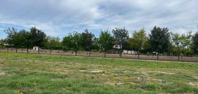 Terrain seul à Lapalud en Vaucluse (84) de 768 m² à vendre au prix de 111000€ - 3