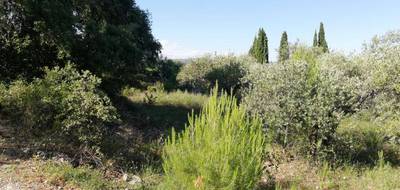 Terrain seul à Lorgues en Var (83) de 501 m² à vendre au prix de 160000€ - 1