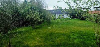 Programme terrain + maison à Fiennes en Pas-de-Calais (62) de 146 m² à vendre au prix de 426000€ - 3