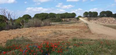 Terrain seul à Marcorignan en Aude (11) de 274 m² à vendre au prix de 89900€ - 1