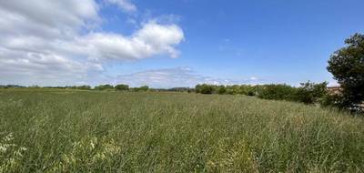 Terrain seul à Floure en Aude (11) de 2586 m² à vendre au prix de 106000€ - 1