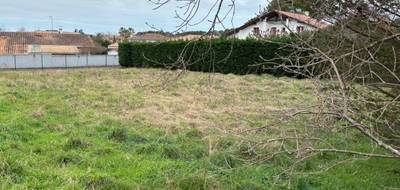 Programme terrain + maison à Tarnos en Landes (40) de 85 m² à vendre au prix de 390000€ - 3