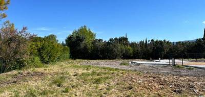 Terrain seul à L'Isle-sur-la-Sorgue en Vaucluse (84) de 521 m² à vendre au prix de 180000€ - 3