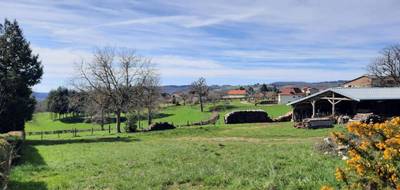 Terrain seul à Saint-Mamet-la-Salvetat en Cantal (15) de 1052 m² à vendre au prix de 17000€ - 3