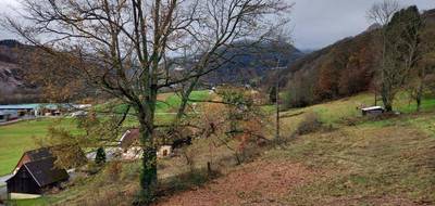Terrain seul à Muhlbach-sur-Munster en Haut-Rhin (68) de 2500 m² à vendre au prix de 90000€ - 2