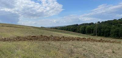 Terrain seul à Montfa en Tarn (81) de 1300 m² à vendre au prix de 65000€ - 1