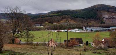 Terrain seul à Muhlbach-sur-Munster en Haut-Rhin (68) de 2500 m² à vendre au prix de 90000€ - 3