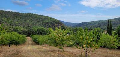Programme terrain + maison à Céret en Pyrénées-Orientales (66) de 140 m² à vendre au prix de 509000€ - 4
