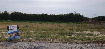 Programme terrain + maison à Ardres en Pas-de-Calais (62) de 75 m² à vendre au prix de 239000€ - 3