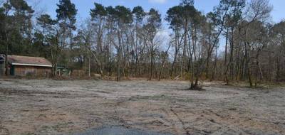 Terrain seul à Salles en Gironde (33) de 879 m² à vendre au prix de 265000€ - 1