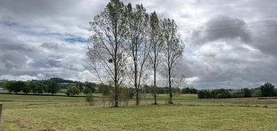 Terrain seul à Naucelles en Cantal (15) de 627 m² à vendre au prix de 43800€ - 3