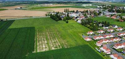 Programme terrain + maison à Vitry-en-Artois en Pas-de-Calais (62) de 90 m² à vendre au prix de 241000€ - 3