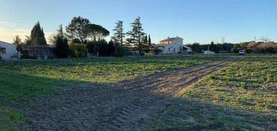 Programme terrain + maison à Richerenches en Vaucluse (84) de 105 m² à vendre au prix de 282000€ - 4