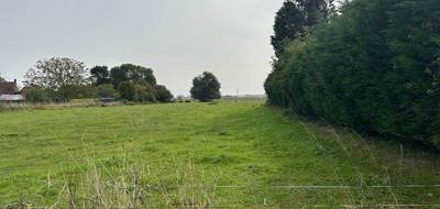 Terrain seul à Auchy-lez-Orchies en Nord (59) de 464 m² à vendre au prix de 110000€ - 1