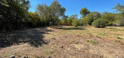 Terrain seul à Les Matelles en Hérault (34) de 750 m² à vendre au prix de 369000€ - 3