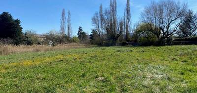 Terrain seul à Cruas en Ardèche (07) de 574 m² à vendre au prix de 89000€ - 4
