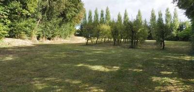 Terrain seul à Aubigny-Les Clouzeaux en Vendée (85) de 1000 m² à vendre au prix de 136200€ - 1