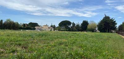 Terrain seul à Lapalud en Vaucluse (84) de 768 m² à vendre au prix de 111000€ - 4