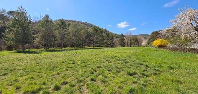 Terrain seul à Corbières-en-Provence en Alpes-de-Haute-Provence (04) de 508 m² à vendre au prix de 90000€ - 1