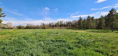 Terrain seul à Corbières-en-Provence en Alpes-de-Haute-Provence (04) de 500 m² à vendre au prix de 90000€ - 1