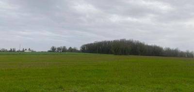 Terrain seul à Brie en Charente (16) de 1000 m² à vendre au prix de 44000€ - 1