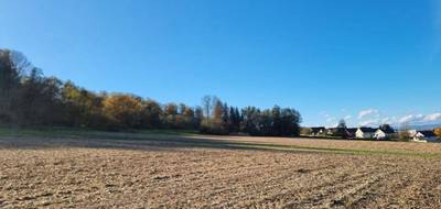 Terrain seul à Hirsingue en Haut-Rhin (68) de 1247 m² à vendre au prix de 210000€ - 3