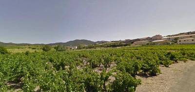 Terrain seul à Montner en Pyrénées-Orientales (66) de 445 m² à vendre au prix de 76000€ - 1