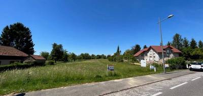 Programme terrain + maison à Burnhaupt-le-Bas en Haut-Rhin (68) de 110 m² à vendre au prix de 319763€ - 2