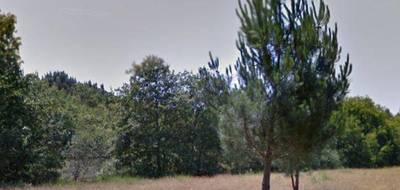 Terrain seul à Grayan-et-l'Hôpital en Gironde (33) de 1550 m² à vendre au prix de 115000€ - 1
