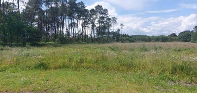 Terrain seul à Saint-Yaguen en Landes (40) de 605 m² à vendre au prix de 55900€ - 1