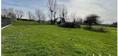 Terrain seul à Monéteau en Yonne (89) de 1293 m² à vendre au prix de 65000€ - 1