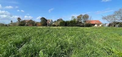 Terrain seul à Garrey en Landes (40) de 1443 m² à vendre au prix de 65400€ - 1