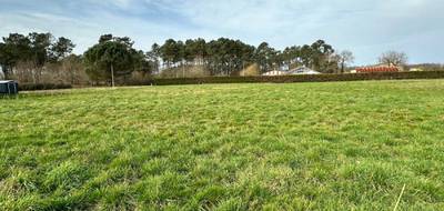 Terrain seul à Ygos-Saint-Saturnin en Landes (40) de 1900 m² à vendre au prix de 119700€ - 1