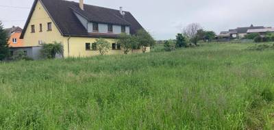Terrain seul à Pfaffenheim en Haut-Rhin (68) de 1145 m² à vendre au prix de 193200€ - 3