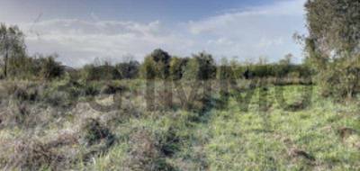 Terrain seul à Peyre en Landes (40) de 4350 m² à vendre au prix de 55000€ - 2